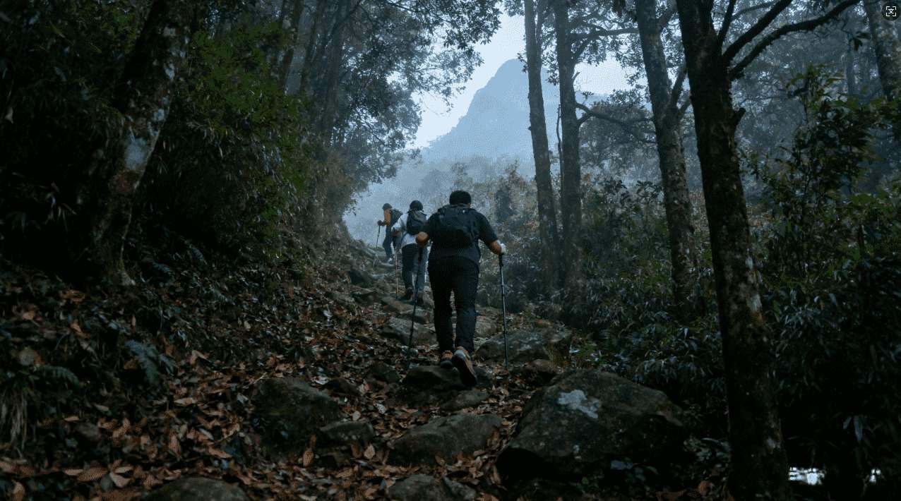 芒果加速器用法介绍与应用场景分析指南